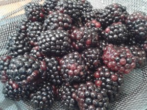 spenwood cheese souffle with blackberry sauce