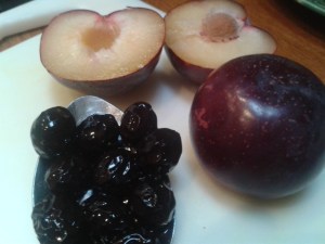 Inne's Log Goat's Cheese and Apple Tarts with Plum Sloe Gin Sauce left over sloes