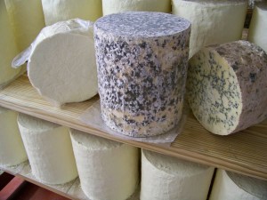 Hartington Creamery Cheese Stilton Peakland Blue White
