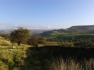 peaqk district sheep farm combs derbsyhire