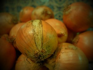 french onion soup with lincolnshire poacher cheese