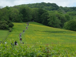 cooper's hill cheese-rolling