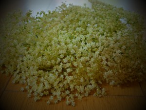 elderflower cordial