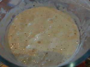 sourdough starter