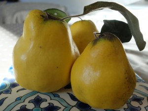 quince cheese membrillo