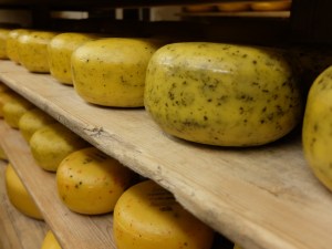 'Cheese with bits in'