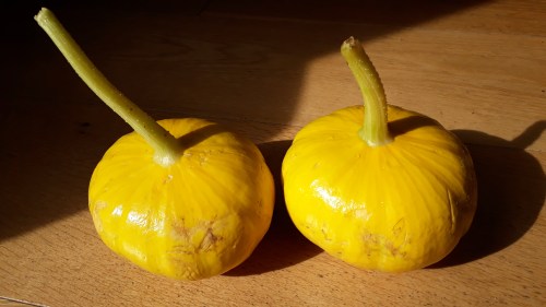 squash